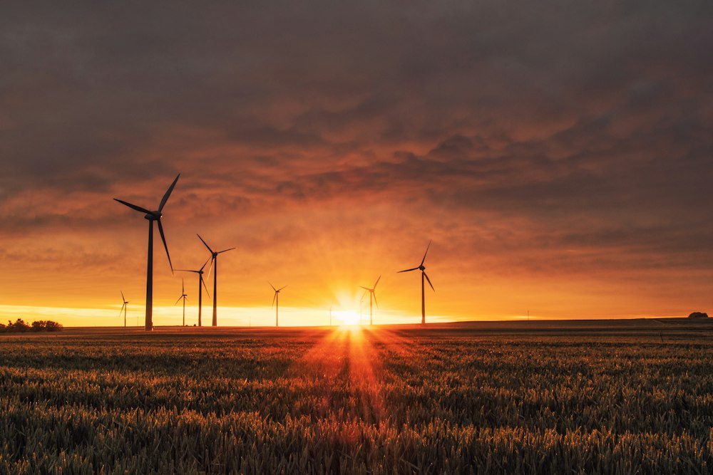 Globale Energiewende: Zubau erneuerbarer Energien bricht alle historischen Rekorde
