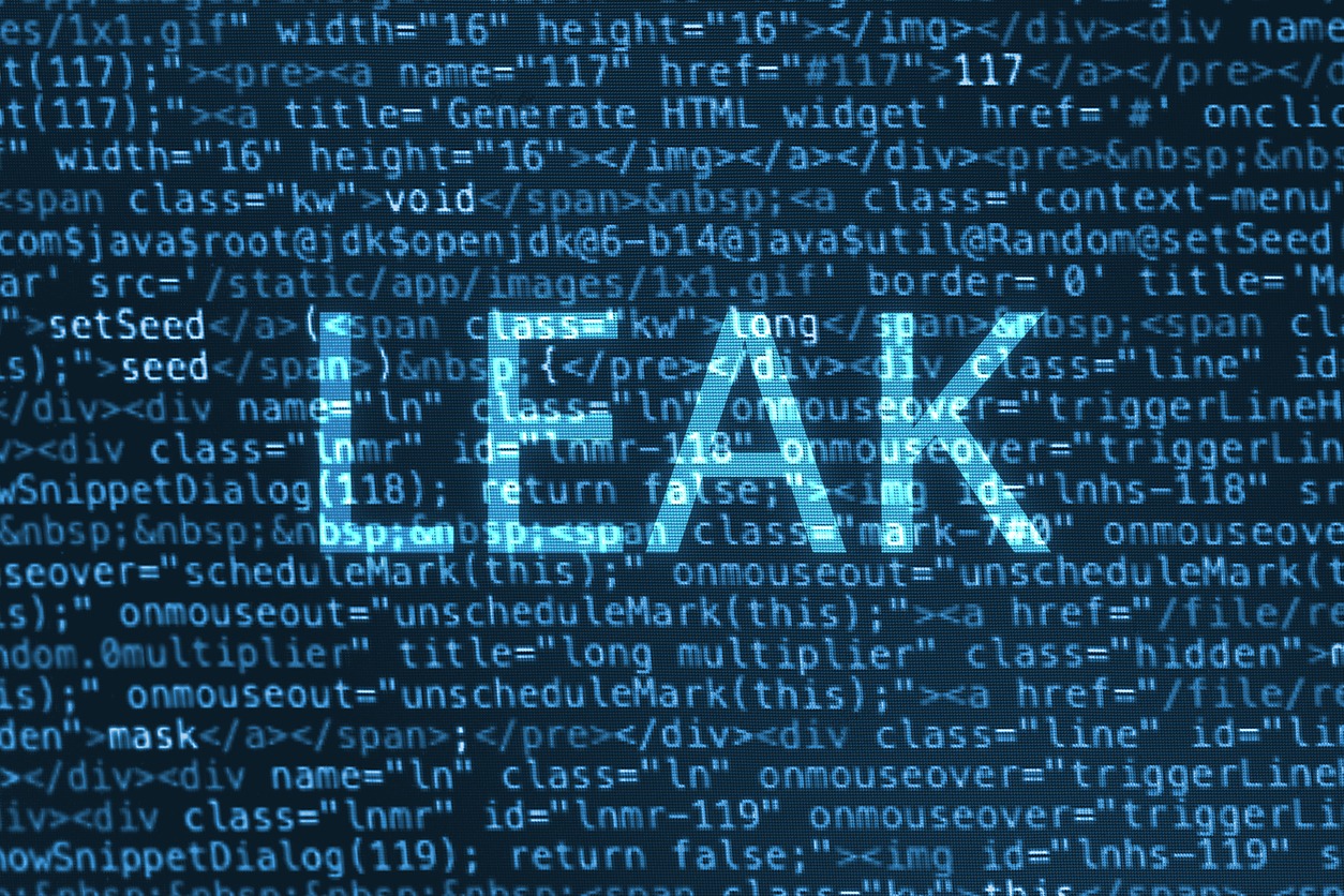 Hacker erbeuten und veröffentlichen E-Mails von AfD-Politikern